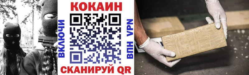 Купить закладки  Александровск-Сахалинский  Cocaine Fish Scale