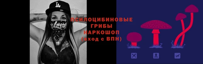 spice Няндома