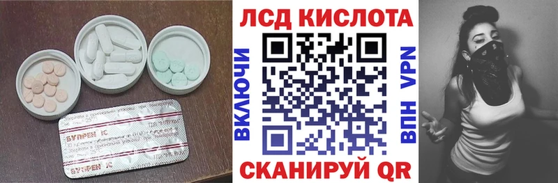 Купить закладки  Александровск-Сахалинский  Лсд 25 экстази ecstasy